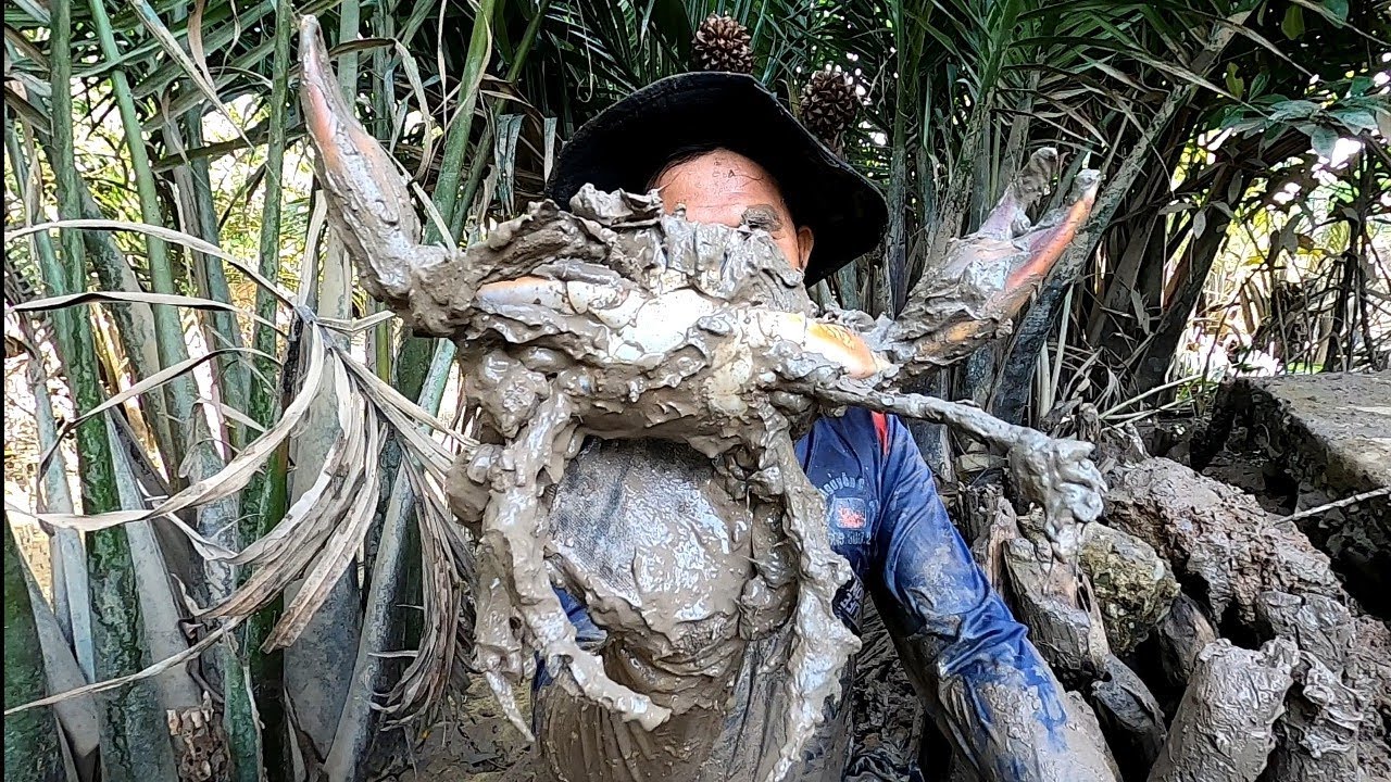 Bữa Nai Được Hai Con Cua Chất Lượng Luôn/Đat Nguyễn Cần Giờ 