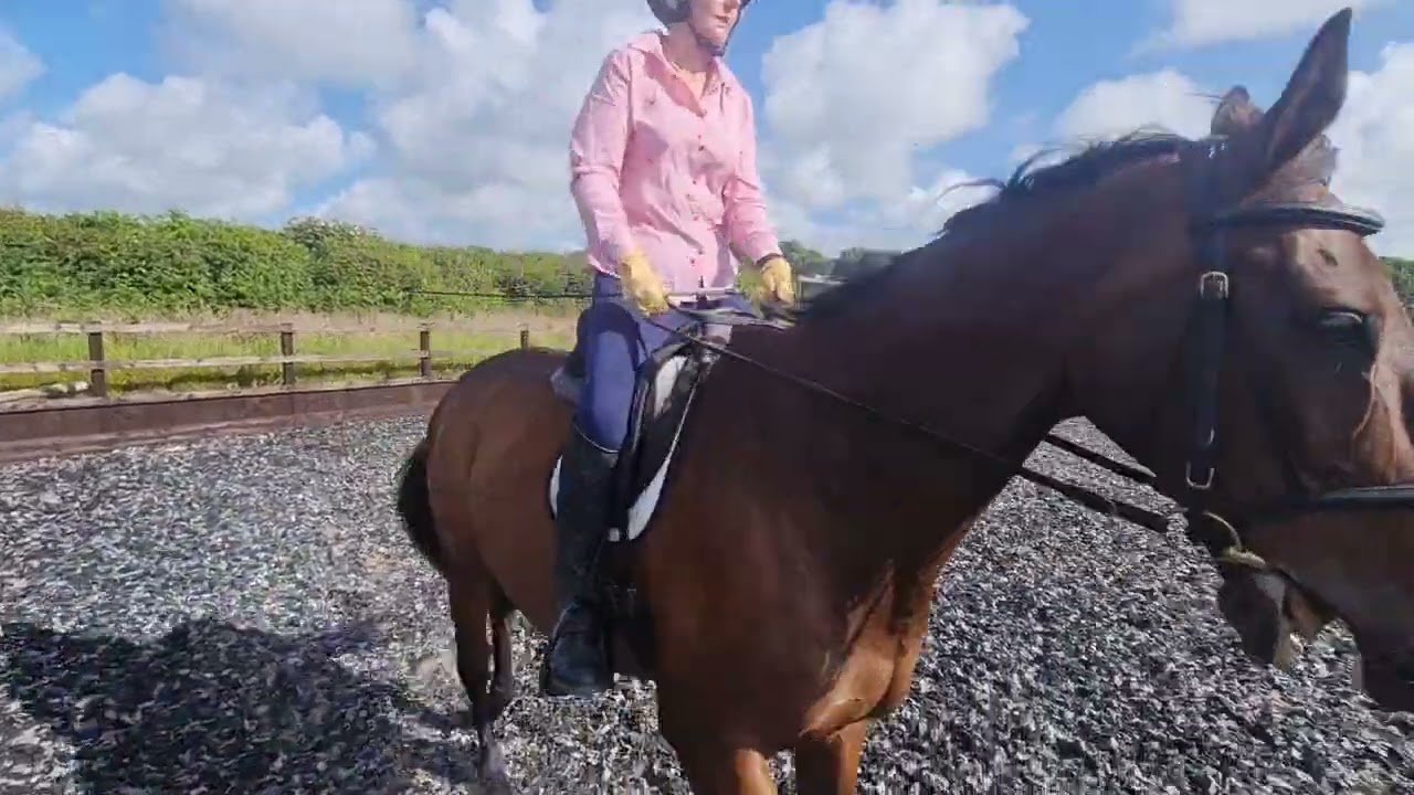 Mary Herbert riding William 15/06/2022