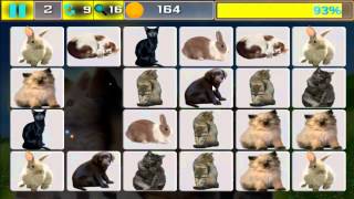 Onet Pet Animals screenshot 5