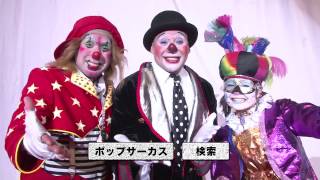 ポップサーカス愛媛公演で座席表の大切さを痛感 口コミを見ておけばよかった 愛媛のぴかいちブログ