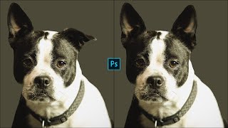 How to Use Clone Stamp Tool, Clone Source in Photoshop 2022