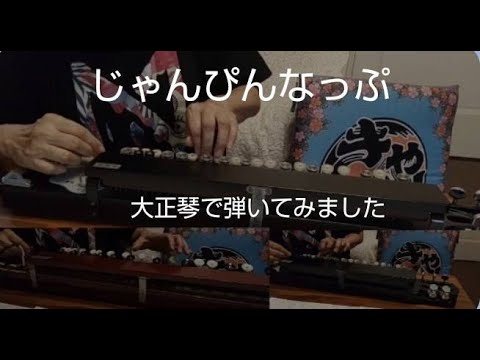 じゃんぴんなっぷ/きゃりーぱみゅぱみゅ 大正琴で弾いてみた