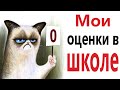 Приколы! МОИ ОЦЕНКИ В ШКОЛЕ! Смешные видео от Доми шоу! (анимация)