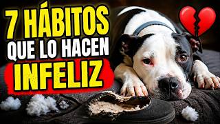 ESTOS 7 HÁBITOS ESTÁN HACIENDO INFELIZ A TU PERRO (¡Déjalos YA!) Educación Canina 🐶