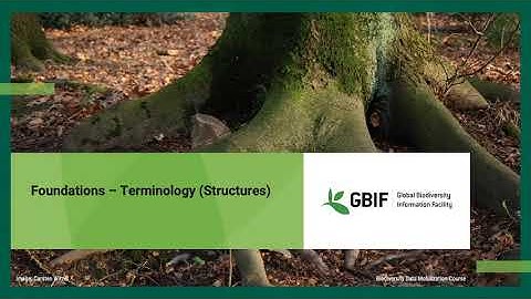 Foundations Structures