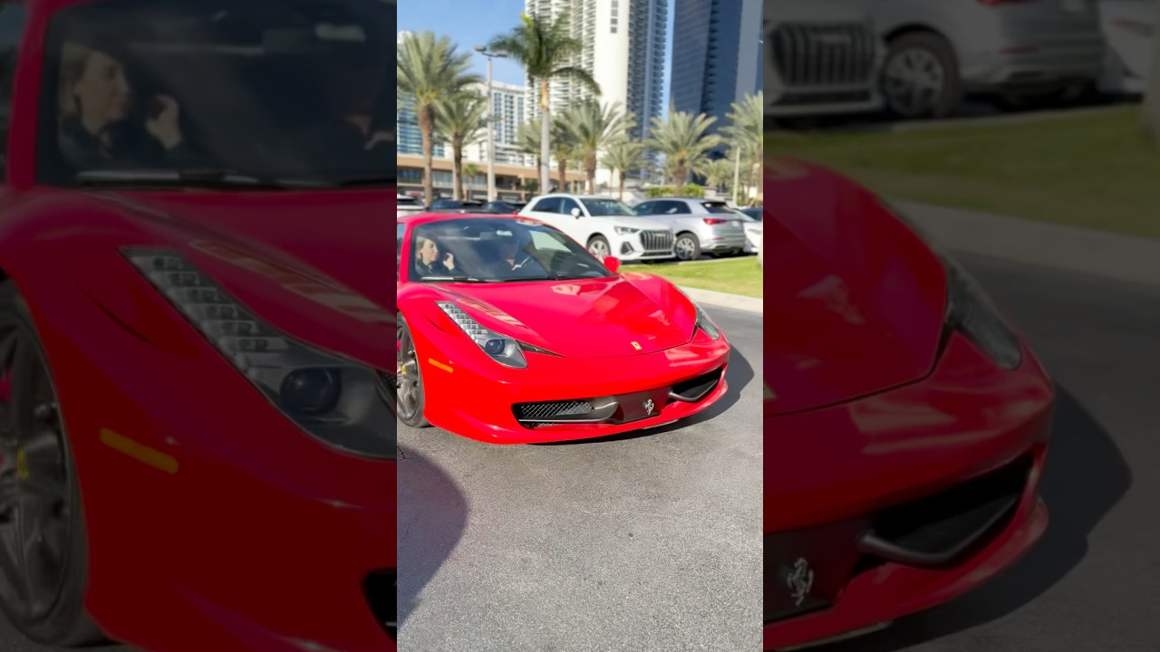 due creazioni  due bellezze 