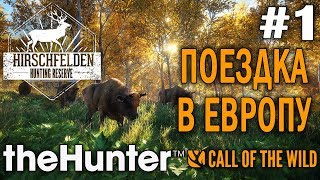 theHunter call of the wild #1 🔫 - Поездка в Европу - Стрельбище - Оружие: Ружье, Винтовка