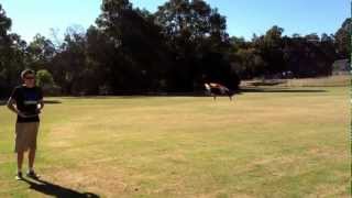 AR Drone 2 hovers well in the wind...