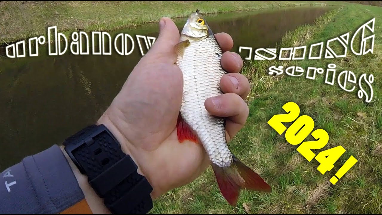 WZDRĘGI I PŁOTKI NA MUCHĘ + Nowy Obiektyw 18mm na sezon 2024! WĘDKARSTWO MUCHOWE