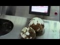 Coconut sheller peeling machine Mp3