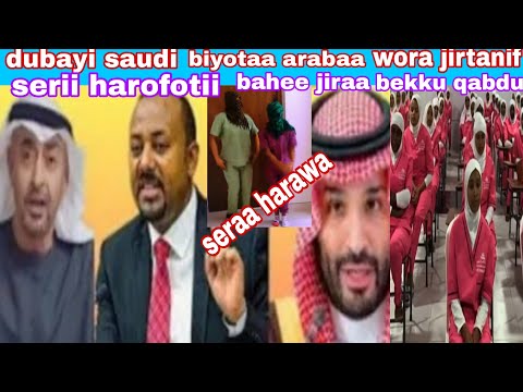 Saudi Dubayi Biyotaa Arabaa Serii Harofotii Bahee Dubayii Cufamee 