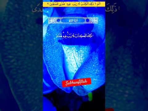 ال م ١ ذ ل ك ٱل ك ت  ب ل ا ر ي ب ف يه ه د ى ل ل م ت ق ين ٢  