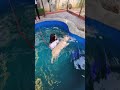 Dog Swimming pool in Hyderabad at BACHUPALLY 📍#shorts #punjabisong #trendingshorts #viralshorts
