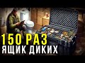 Ящик диких 2024. 150 отправлений ЗА САМОГОН. Потратил 45000000 (45 миллионов) рублей. ФУЛЛ КАМЕНЬ