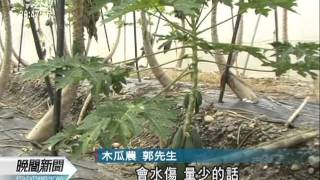 20110804-公視晚間新聞-大雨效應影響 木瓜香蕉價格回穩.mpg