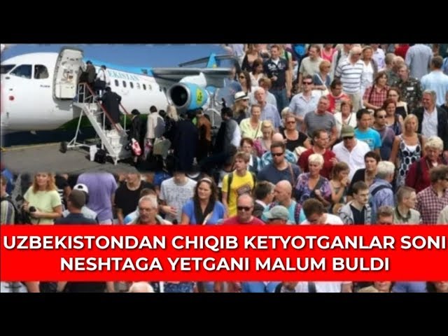 Yumshoq ogizga soling