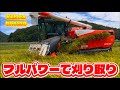 Kubota DR6130クボタの6条130馬力コンバインで刈り取りSTAR🏃‍♂️