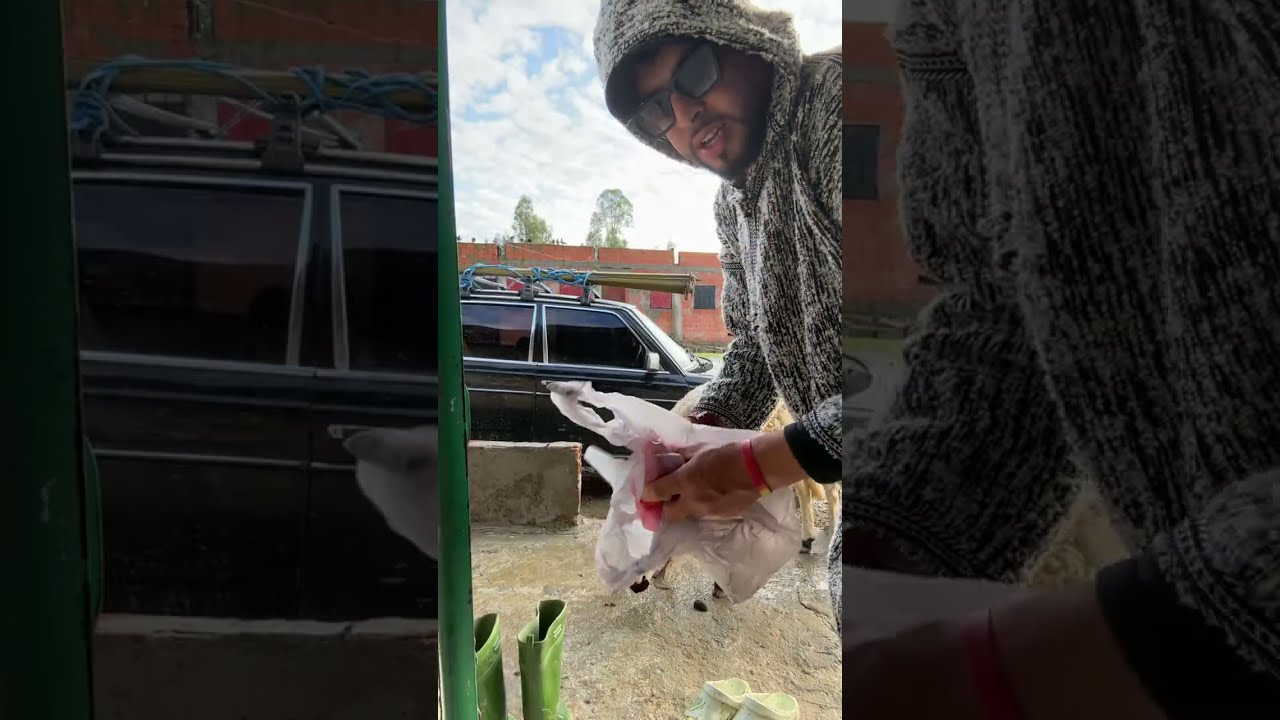 LIVE - MACHI N KSAR KBIR NJEB CHI CHARFA