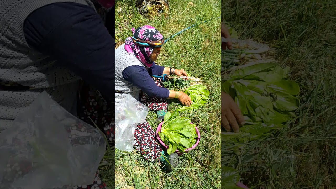 18 05 2021 kocagöl köyü tekke çalışması [imece]