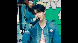 Hes So Addractive While Playing Cajon  sunghanbin  zerobaseonezb1 akmukpopshortscajon
