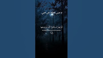 تلاوة خاشعة للشيخ ياسر الدوسري 🤍🤍☺️ #تلاوة_خاشعة