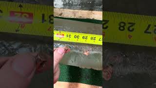 35 Whelen - 173Gr Mcguire Ballistics Copper Bullet Vs Gel Block