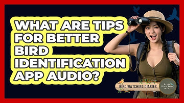 What Are Tips For Better Bird Identification App Audio?