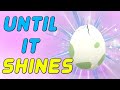 Shiny Egg Hunting Until It Sparkles!!