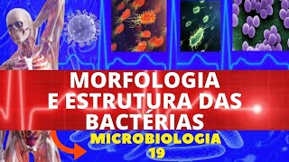 MORFOLOGIA E ESTRUTURA DAS BACTÉRIAS - COLORAÇÃO DE GRAM - MICROBIOLOGIA