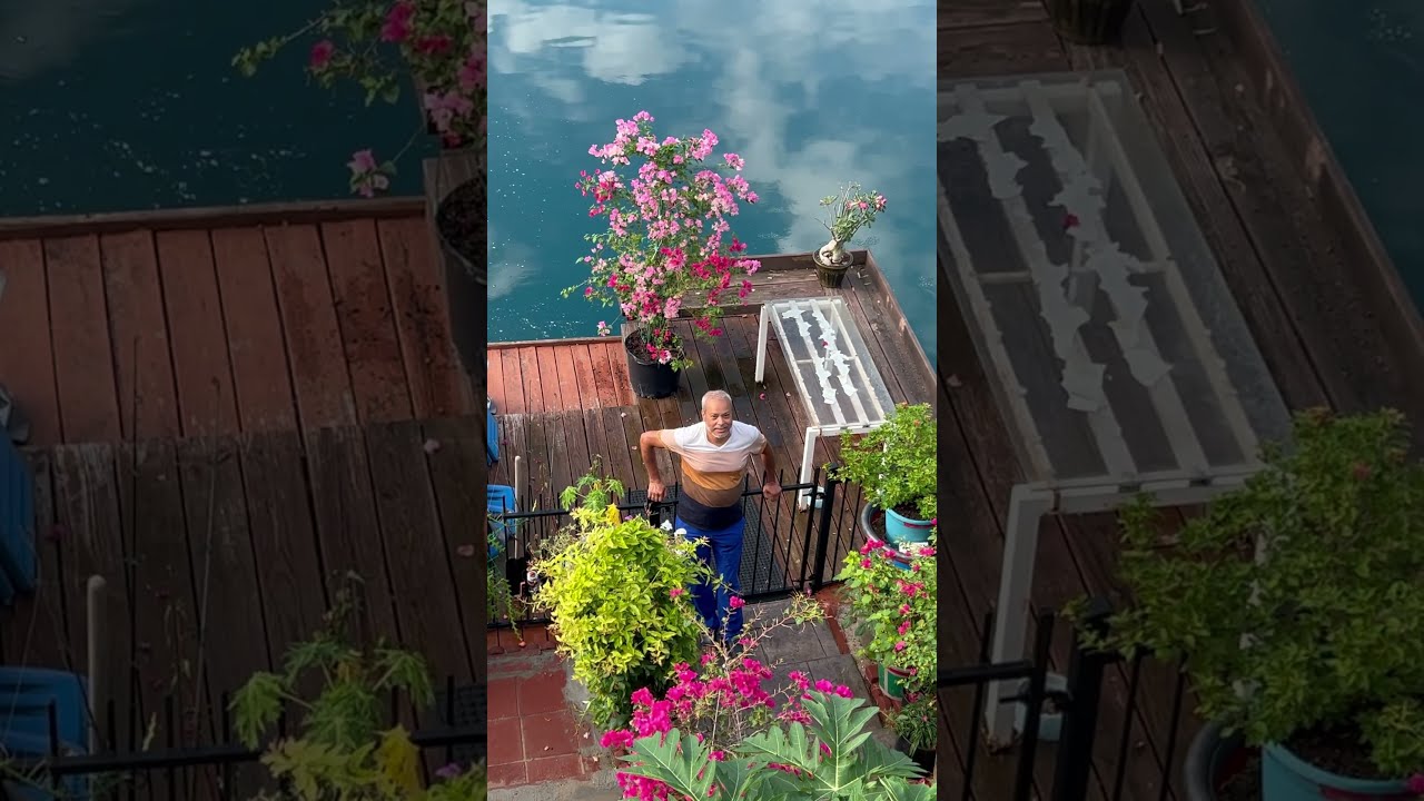Wife S Uncle Hard Working And Very Hospitable Beautiful Garden In Houston 