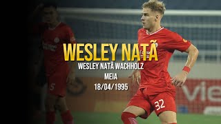 Wesley Natã - Viettel FC 2025