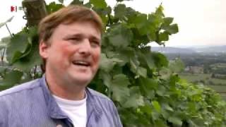 Weinland Baden: Weinbau in Efringen Kirchen - Hanspeter Ziereisen