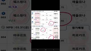 3월 31일 NPB 호축 초안분석