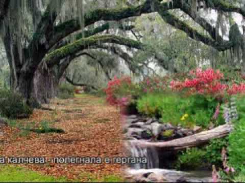 Slavka Kalcheva Polegnala E Gergana