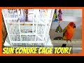 Sun Conure Cage Tour! *Mango's New Cage*