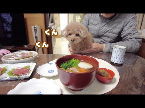 初めてバァバお手製のお雑煮を見た愛犬の反応が可愛すぎた