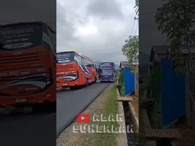 Bus Bris Trans Casper dan Bus SJM Trans Ratu Maher Bartemu Adu Telolet Basuri V3  Keren Banget class=