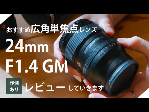 FE 24mm F1.4 GMを紅葉を撮影しつつ、写真や動画での使用感をレビュー