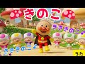 【きのこ(き、き、きのこ♪)】アンパンマン 歌詞付き アンパンマンメドレー 手遊び歌 知育 童謡 おかあさんといっしょ #面包超人 #Anpanman #호빵맨 #أنبانمان