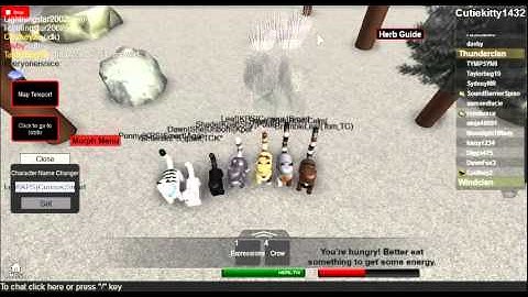 Warrior cats rpg part 1