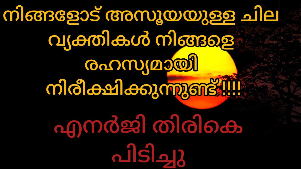 നിങ്ങളോട് അസൂയയുള്ള ചില വ്യക്തികൾ നിങ്ങളെ രഹസ്യമായി നിരീക്ഷിക്കുന്നുണ്ട് #tarot 
