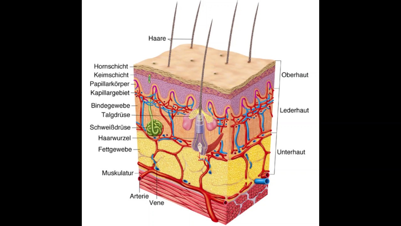Was ist Reibeisenhaut/Keratosis Pilaris? - YouTube