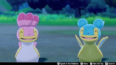 Shellos (West & East Sea) In Camp - Pokemon Sword & Shield