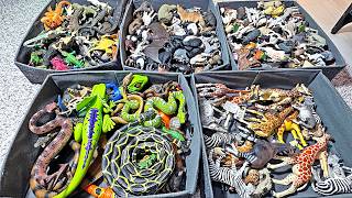 1000 Reptiles, Wild Animals Farm Animals - Snake, Giraffe, Zebra, Crocodile, Alligator, Iguana
