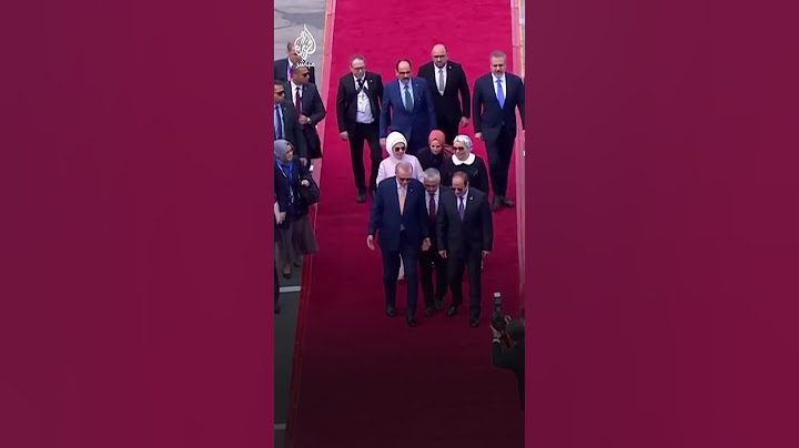 الرئيس التركي أردوغان يصل إلى مصر للقاء الرئيس عبد الفتاح السيسي