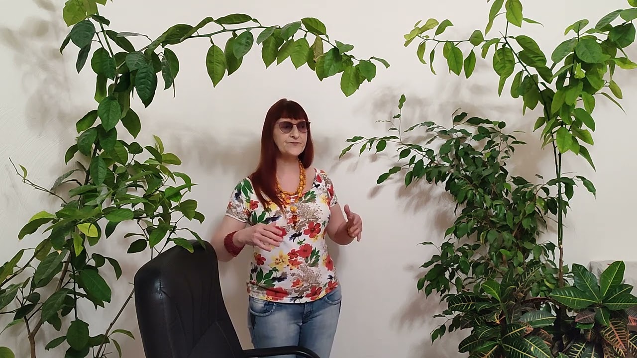 Про линейку продуктов. Экспертам. Курс для начинающих. Лидер-бренд "Сократ" сезон 2023-24