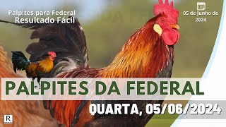 Palpite Federal Jogo do Bicho do dia 05/06/2024 - Resultado Fácil