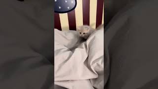 Kimi Who Often Jokes Knows