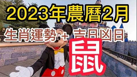 【古柏論命每月運勢 + 吉日凶日】2023年農曆二月(陽曆2/20 ~ 3/21)生肖運勢分享 -  鼠 - 天天要聞