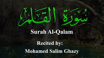 سورة القلم Surah Al-Qalam بصوت الشاب الصاعد| محمد سالم غازي